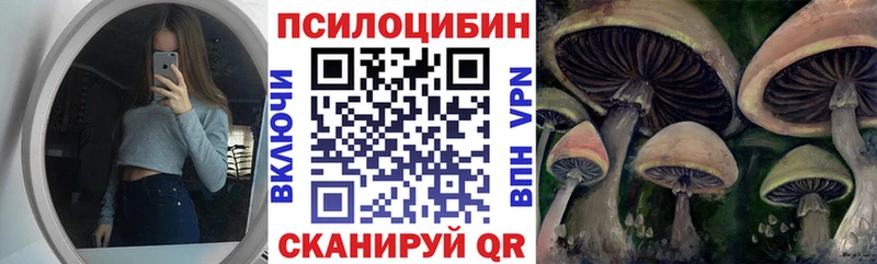 Купить  Ртищево  Галлюциногенные грибы Cubensis 